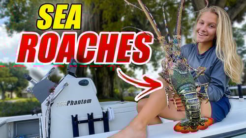 Catching GIANT SEA ROACHES at Night!