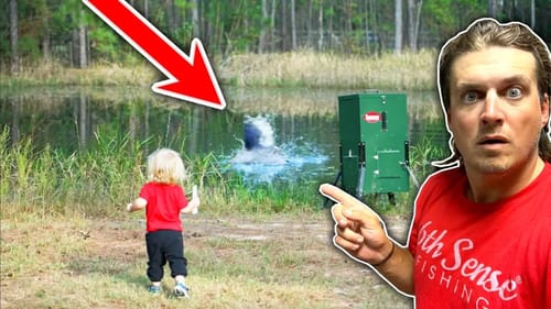 My Backyard Pond Fish are getting DANGEROUSLY Big…