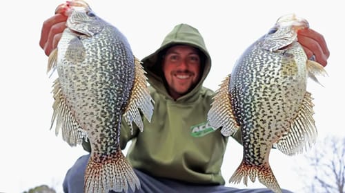 BRIDGE Fishing For GIANT CRAPPIE!! (THEYRE LOADED)