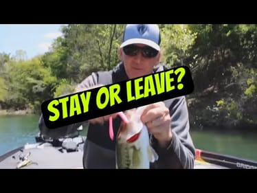 THIS is How Long You Should Fish An Area Before Leaving It