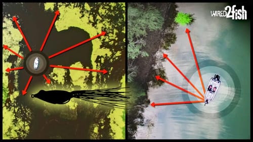 2 Key Habitats to Fish Hollow Body Frogs for Bass