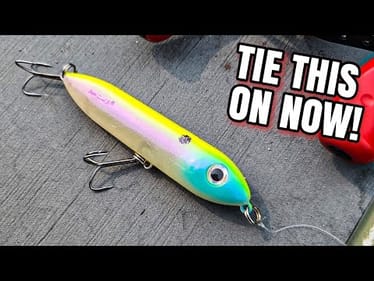 THIS Topwater ALWAYS Catches Me Bass!