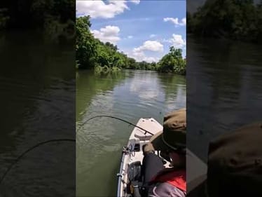 How are River Small Mouth this Strong??