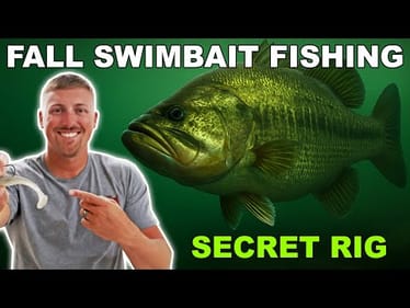 Secret Swimbait Rig Pro's Use for Fall Bass Fishing | What to Use and How to Rig