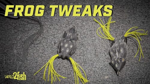 2 Hollow Body Frog Tips to Catch More Bass