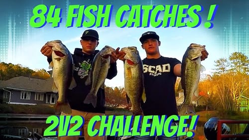 Fall Bass Fishing ~ Big Bass Action! (84 Fish)