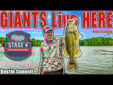 Fishing for GIANTS - MLF Stage 4 Lake Chickamagua - Practice Vlog