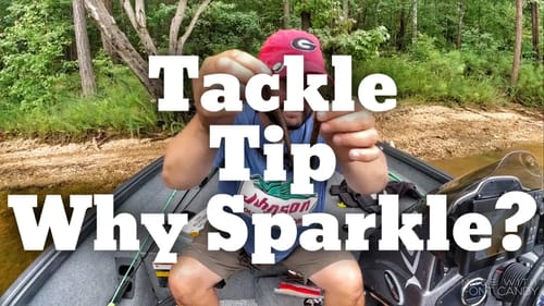 Two Minute Tackle Tip - Why Use Soft Plastic with Glitter