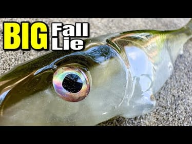 The Simple Underspin Setup That Catches GIANT Fall Bass