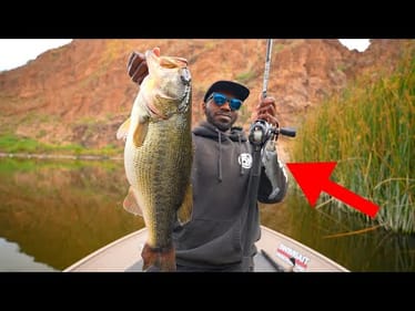 This Big Swimbait Works Everytime!