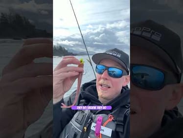 Try New Baits, Catch New Fish! #aaanglers