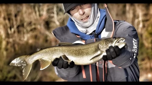 Mike Iaconelli's favorite lures for lake trout and bass in cold water conditions
