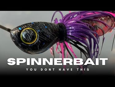 You’ve Never Used This Spinnerbait & It’s So Good!
