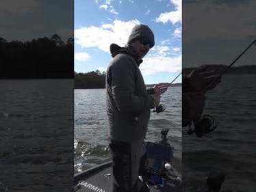 DO NOT be Short When Livescoping!