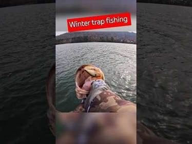 The perfect lure for winter fishing