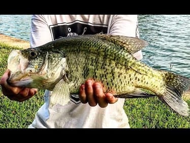 Fishing for HUGE Summer CRAPPIE!
