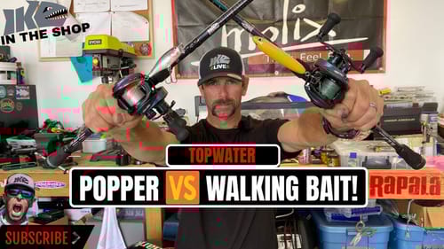 Topwater Bass Fishing: Popper Vs. Walking Bait!