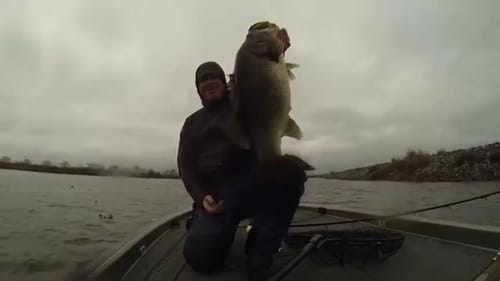 Giant Winter Largemouth eats an S-Waver Swimbait