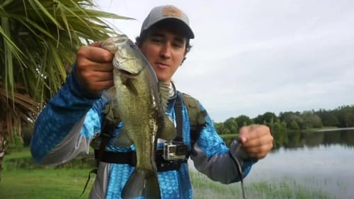 Pond Bass on Big Worms