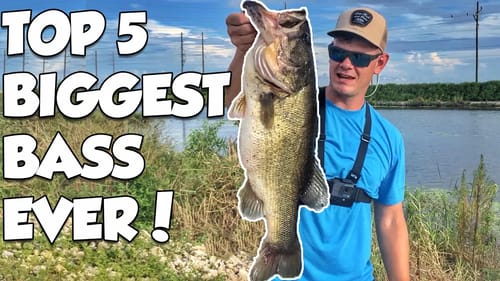 5 BIGGEST BASS EVER CAUGHT!