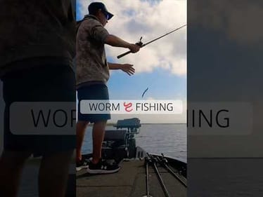 Lake Okeechobee Worm 🪱 Fishing Toyota Series #short #bassfishing #boatfliponly