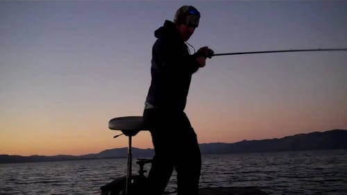 Clearlake Swimbait Fish at Dusk