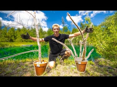 BUILDING Fish HOMES for my BACKYARD POND! (Pond Restoration Part 3)