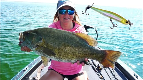 GIANT Smallmouth Crushing Spybaits!