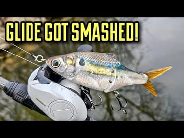 Spring Glide Bait got CRUSHED (It MAKES SENSE Now!)