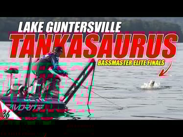 This SPOT is POPPIN! - Bassmaster Elite Lake Guntersville FINALS - UFB Ep.36 (4K)