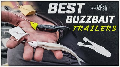 3 Proven Buzzbait Trailers for Bass Fishing Success