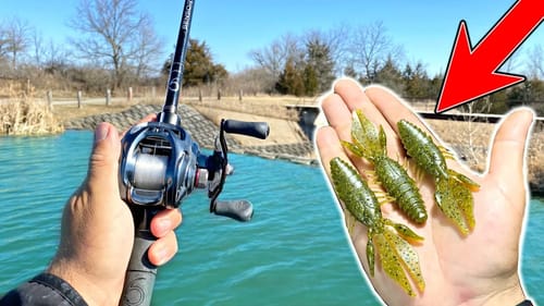 Catching EVERY BIG BASS in the Pond in ONE SPOT!!! (Spring Fishing)