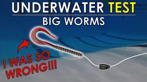 Testing Big Worm Action In Pool and Lake | Underwater Bass Fishing Rig Test