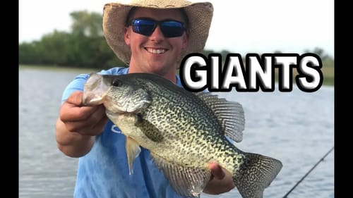 WORLD'S Best CRAPPIE Pond!? WOW! Unbeatable!