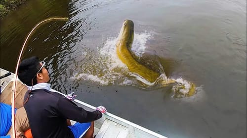 The STRANGEST MONSTER FISH I’ve EVER CAUGHT!! (WEIRD)