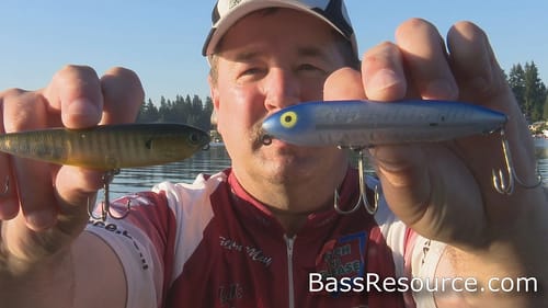 How To Fish The Zara Spook | Walk The Dog | Bass Fishing