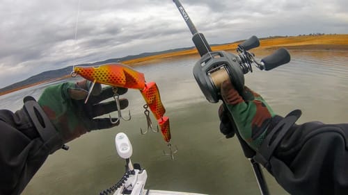 The Most Difficult Fish I've Ever Targeted