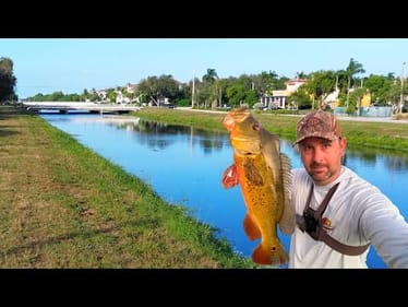 Urban Canal Fishing in South Florida