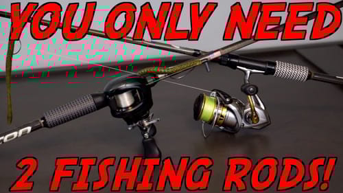 EVERY Fisherman NEEDS These 2 Fishing Rods!