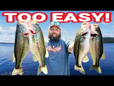 The Easy Way To Catch Giant Bass