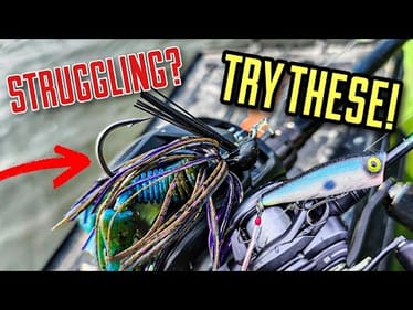 Jig + Popper NOW = Summer Bass FUN!
