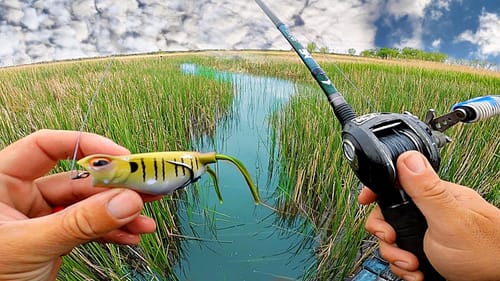 Searching for GIANT Bass in a HIDDEN Backwater Pond!! (Topwater Explosions)