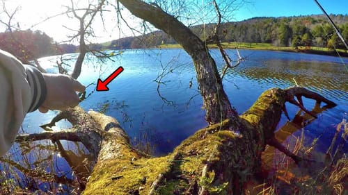 How To Catch Rod BENDING Crappie From The Bank!!!