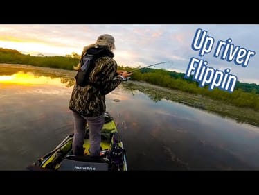 Hartwell Tourney Recap (Mid May Flippin Bite)