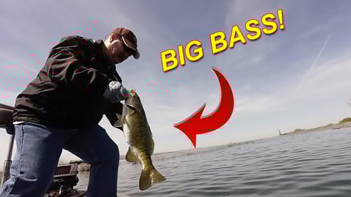 Year-Round Bass Fishing With Hair Jigs | Bass Fishing