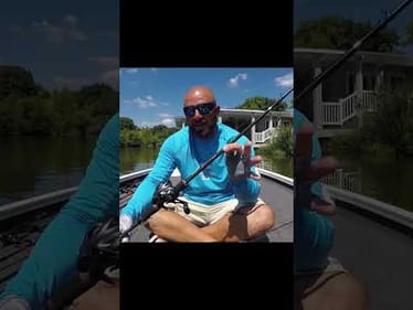 Skip a Fluke Like a Pro This Fall #shorts #bassfishing #fishing #howto