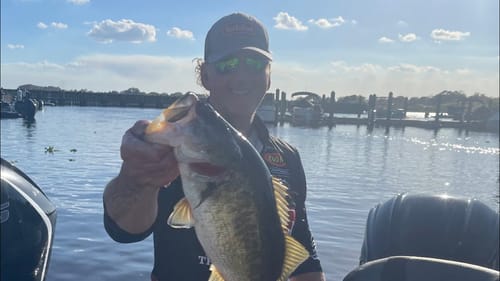5 Spring Crankbait Secrets Most Anglers Are Clueless About