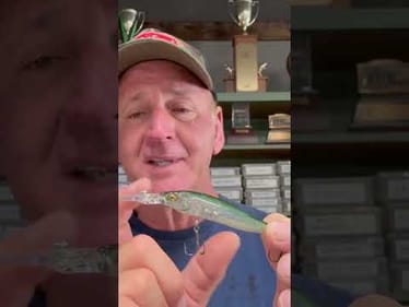 Top 3 Megabass Lures