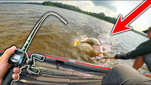 Unbelievable DOUBLE DIGIT Bass INHALES My Bait!! (Topwater Feeding Frenzy)