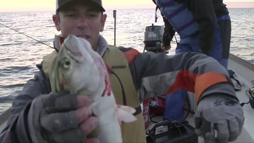 Fishing Connecticut Stripers!!! (Going Ike S2 - Ep. #7)